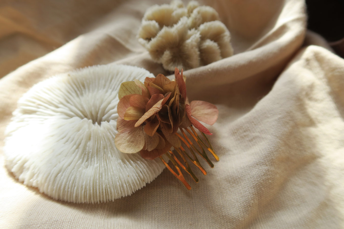 peigne hortensia fleur séchée