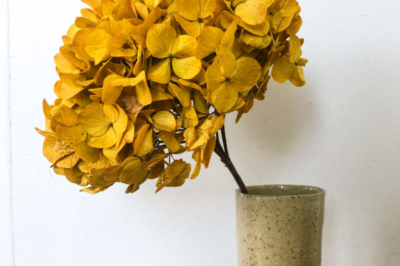 hortensia stabilisé jaune curry déoration vase maison bohème toulouse fleurs séchées