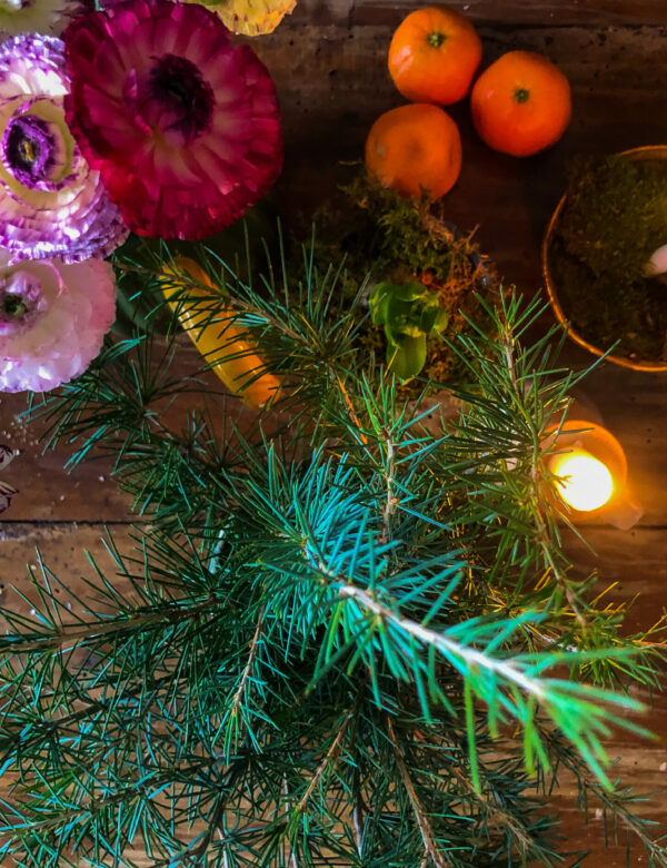 Atelier Bûche de Noël à la Cartoucherie
