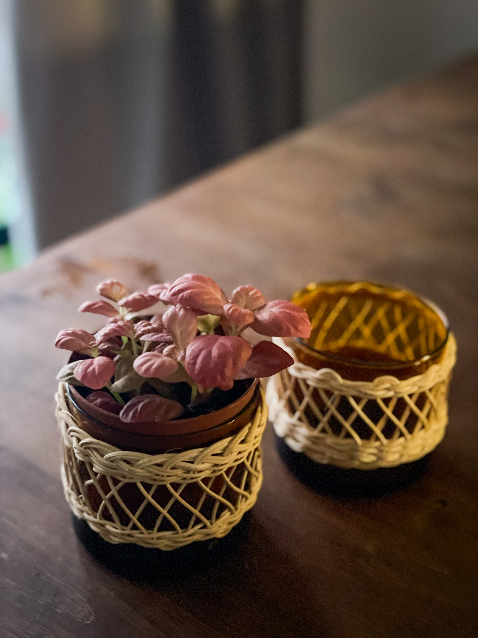 vase vintage ancien verre fumé fleuriste toulouse plantes fleurs francaises